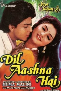 Dil Aashna Hai 1992